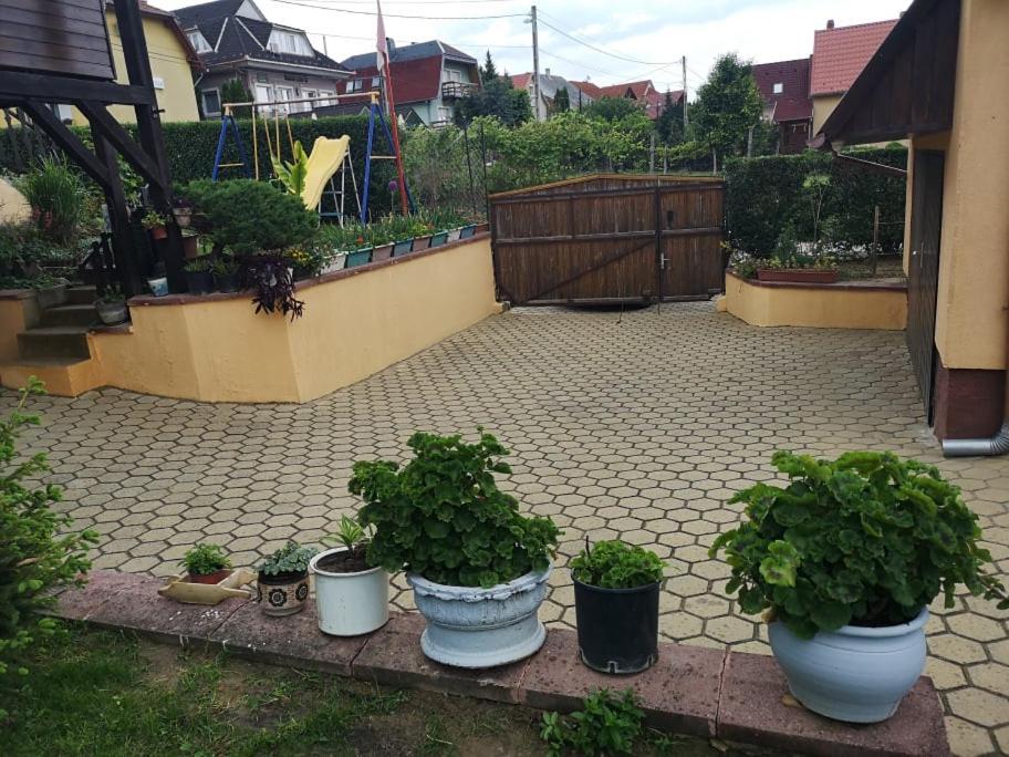 Karos Central Apartmanhaz ザラカロシュ エクステリア 写真